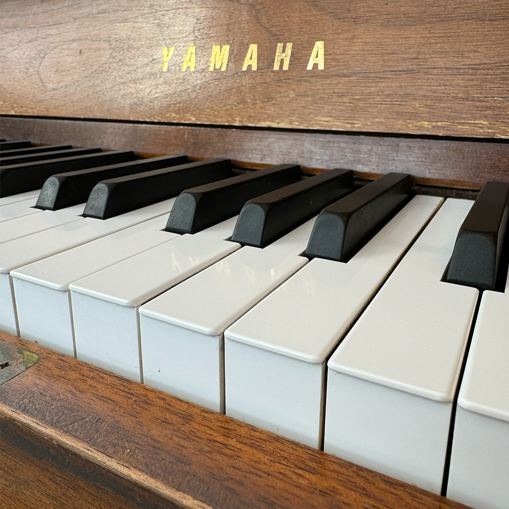 This is audio from the piano located in the SSU by the Booster Juice playing a descending scale.