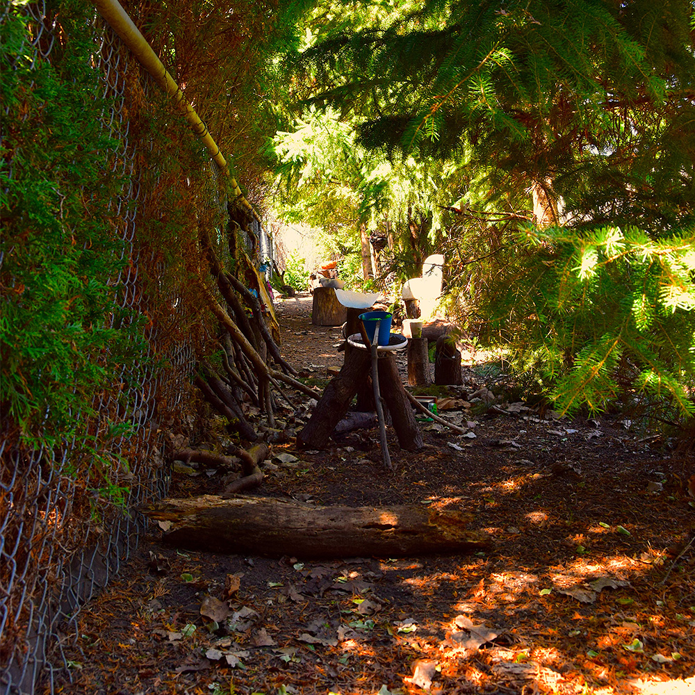 This is a photo of the transition between the residential area and the walking trails. Where I live currently you can get to the walking trails trhough a small path in between two houses. During Covid I found this 'Secret' society while doing a photoshoot for my quarantine Journal.