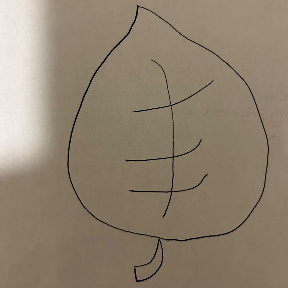 Leaf drawn by my cousin my mom's that was later digitized in Adobe Illustrator.