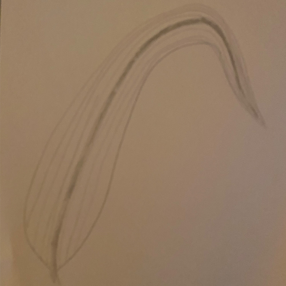 Leaf drawn by my uncle on my dad's that was later digitized in Adobe Illustrator.