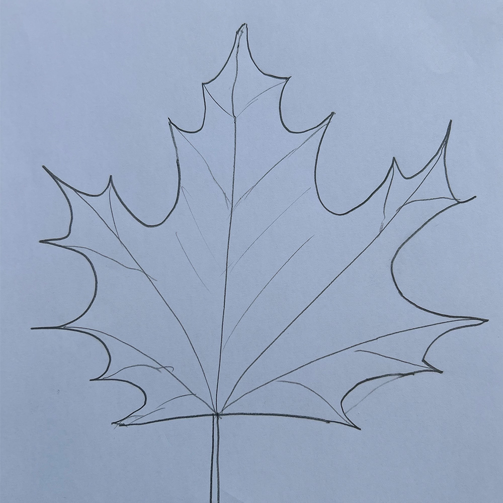 Leaf drawn by my uncle on my mom's that was later digitized in Adobe Illustrator.